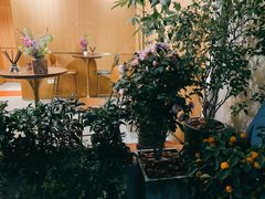 -蝶舍·MAISON PAPILLON