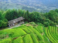 -龙脊梯田