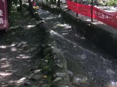 -陕西省红河谷森林公园