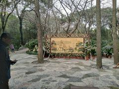 -汇龙潭