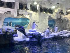 -华夏文旅海洋公园