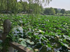 -柯岩风景区
