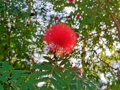 -北京植物园-展览温室