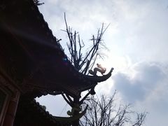 -龙潭水乡