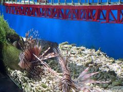 -太平洋海底世界