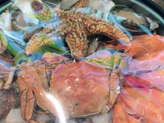 -悦海·家宴·冰花皮皮虾大锅贴(宝龙店)
