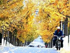 -大学路8号炸串(大学路十四号院店)