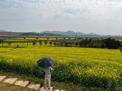 -光明小镇欢乐田园