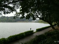 -南国桃园旅游度假区