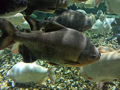 -成都浩海立方海洋公园