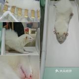 遇见萌宠，邂逅快乐