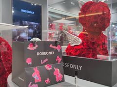 -ROSEONLY诺誓(国际广场购物中心店)
