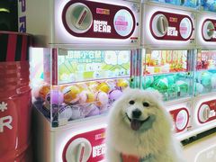 -幸福蓝海国际影城(崇安寺T12店)