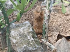 -柳州市动物园