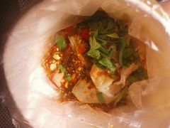 -邓氏大薄片