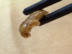 -了能菜·传统特色粤菜·虫宴