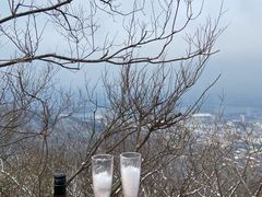 -紫金山山顶公园