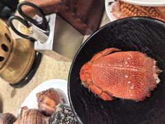-初色海鲜自助(万丰路店)