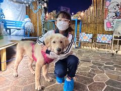 -逗柴町空中花园·雪橇三傻·柴犬柯基狗咖·猫咖·爬宠