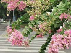 -长发西饼(道前店)