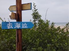 -滴水丹屏