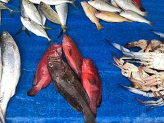 -尼甘布海鲜市场