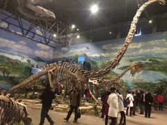 -自贡恐龙博物馆
