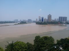 -乐山市博物馆