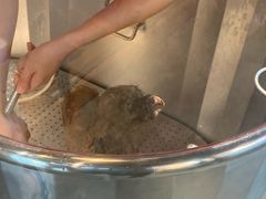 -PETKIT小佩宠物·低压洗护(国顺东路店)