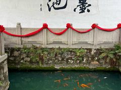 -墨池公园
