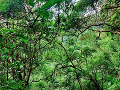 -梧桐山风景名胜区