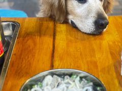-攀枝花·任德琼·盐边羊肉米线