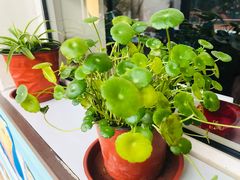 -青岛市金钥匙幼儿园