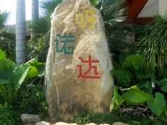 -呀诺达热带雨林