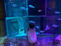 -沈阳海洋探索中心