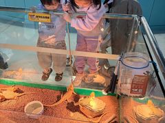 -上海大自然野生昆虫馆(东方明珠·爬宠昆虫探索中心)