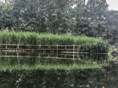 -成都市活水公园