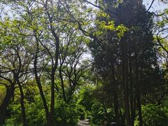 -北陵公园