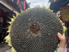 -海窝子古镇