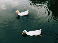 -木塔寺遗址生态公园