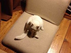 android_upload_pic-映画咖啡