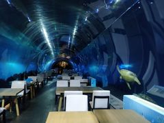 -海棠湾洲际-涛·海底餐厅·美人鱼·自助餐·海底隧道