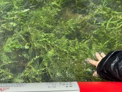 -龙井峡漂流