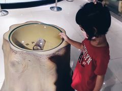 -上海昆虫博物馆