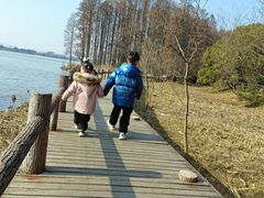 -东湖落雁景区