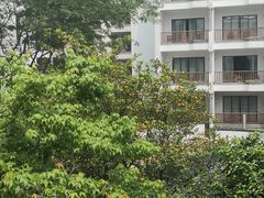 -苏州香山国际大酒店