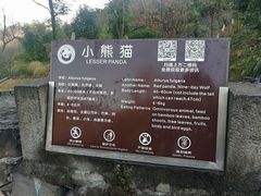 -都江堰中华大熊猫苑
