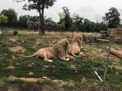 -秦皇岛野生动物园