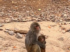 -石家庄市动物园