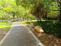 -七宝老街-闵行市民文化广场